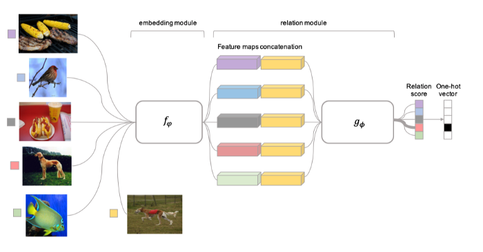 Learning to Compare: Relation Network for Few-shot Learning